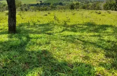 Chácara disponível para venda na área rural de uberlândia-mg