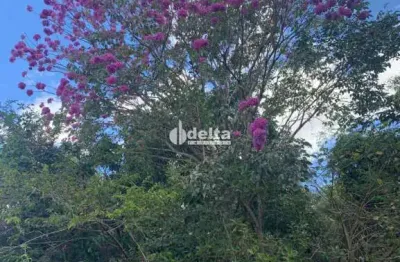 Chácara disponível para venda na região rural em uberlândia-mg