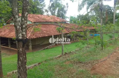 Chácara disponível para venda no bairro recreio lago azul em uberlândia-mg