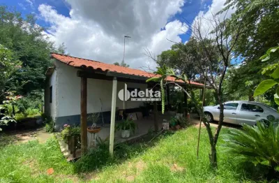 Chácara disponível para locação no bairro morada nova em uberlândia-mg