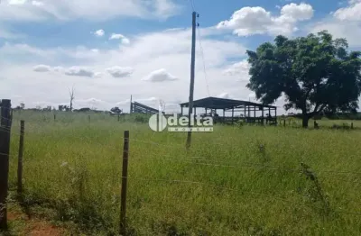 Chácara disponível para venda na região rural em uberlândia-mg