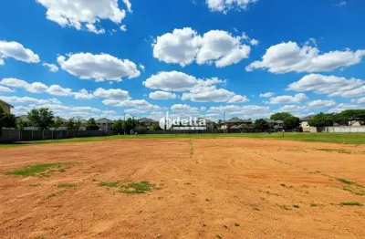 Terreno disponível para venda 420 m² no bairro custódio pereira em uberlândia mg