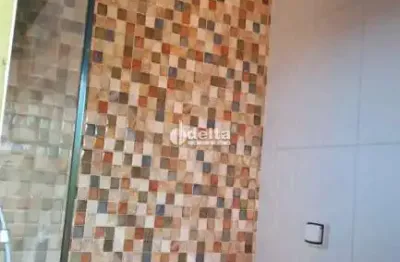 Chácara disponível para venda na zona rural de uberlândia em uberlândia-mg