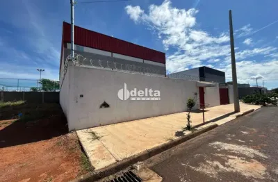 Galpão disponível para venda no bairro novo mundo em uberlândia-mg