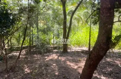 Chácara disponível para venda na região rural em uberlândia-mg