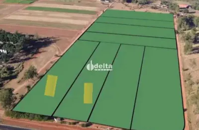 Área disponível para locação e venda 20.000 m² na br 365 sentido ituiutaba de uberlândia-mg