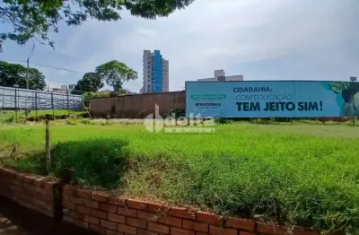 Área disponível para venda 1.330 m² no bairro tabajaras em uberlândia-mg