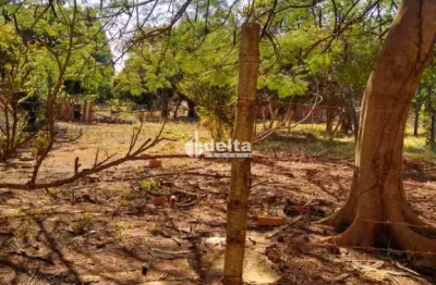 Chácara disponível para venda no bairro morada dos pássaros em uberlândia-mg