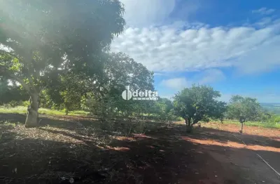 Chacara disponível para venda na zona rural de uberlândia-mg