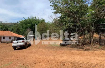 Fazenda disponível para venda na zona rural de uberlândia em uberlândia-mg