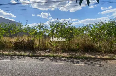 Terreno disponível para venda no bairro jardim das palmeiras em uberlândia mg