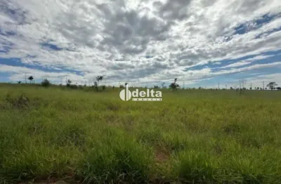 Terreno disponível para venda no bairro ecopark em uberlândia-mg