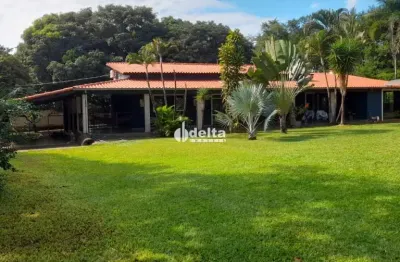 Chácara disponível para venda em área rural de uberlândia em uberlândia - mg