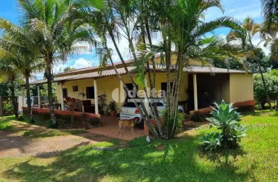 Chácara com 6 quartos disponível para venda no bairro mansões aeroporto em uberlândia - mg.