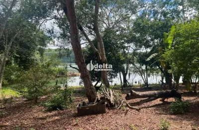 Chácara / sítio à venda na Área Rural de Uberlândia, Uberlândia 