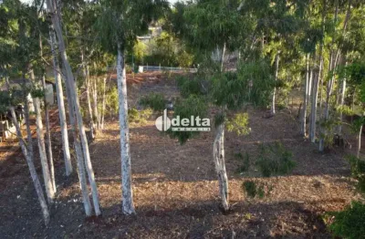 Terreno disponível para venda em zona rural em uberlândia - mg.