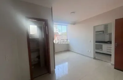 Apartamento com 3 quartos disponível para venda no bairro segismundo pereira em uberlândia - mg.