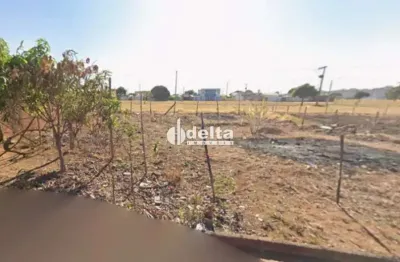 Terreno com 250 m² disponível para venda no bairro morumbi em uberlândia-mg