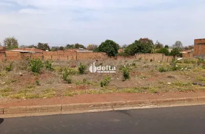 Terreno / área para venda em avenida no bairro shopping parck uberlândia mg