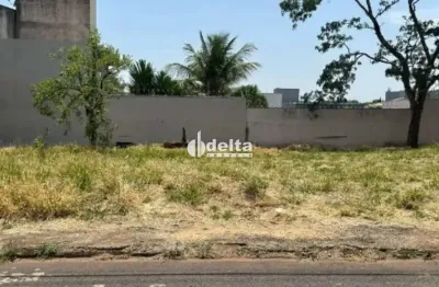 Terreno disponível para venda no bairro  jardim karaiba em uberlândia-mg