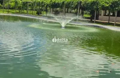 Chácara comercial disponível para venda no bairro vieno em araguari-mg