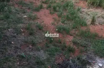 Terreno à venda no Umuarama, Uberlândia 