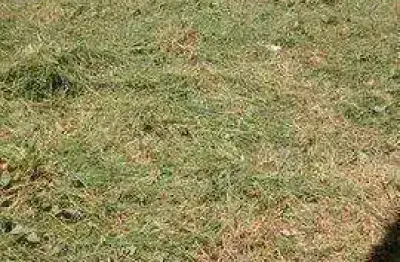 Terreno à venda, 250 m² por r$ 191.000,00 - loteamento itatiba park - itatiba/sp