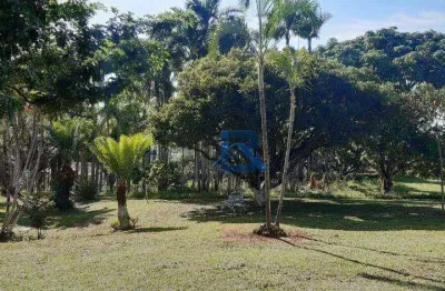 Chácara com 3 dormitórios à venda, 20000 m² por r$ 1.300.000,00 - ponte nova - itatiba/sp