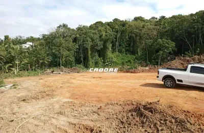 Terreno comercial ou residencial a venda - bairro badenfurt - blumenau - sc