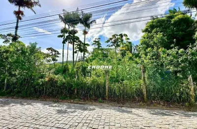 Amplo terreno , plano com excelente localização - bairro figueira - gaspar