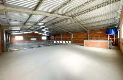 Galpão com aproximadamente 730m² para locação no bairro itoupava seca i cadore imóveis