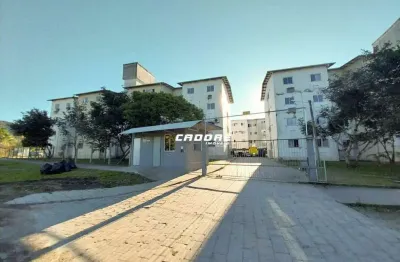 Apartamento com 2 quartos para alugar no Ponta Aguda, Blumenau 