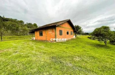 Amplo terreno à venda no bairro santa terezinha em gaspar i cadore imóveis