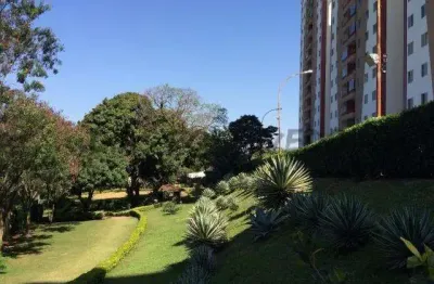 Apartamento com 3 quartos à venda no jardim antonio von zuben, campinas , 75 m2 por r$ 460.000