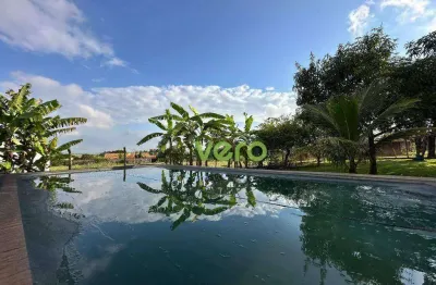 Chácara com 1 dormitório à venda, 1000 m² por r$ 500.000 - pau pintado - sumaré/são paulo