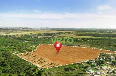 Terreno à venda, 20000 m² por r$ 2.600.000,00 - bairro dos lopes - limeira/sp