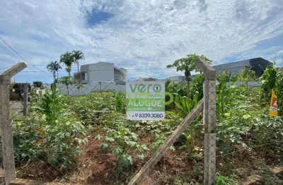 Terreno para alugar, 458 m² por r$ 1.500,00/mês - parque universitário - americana/sp