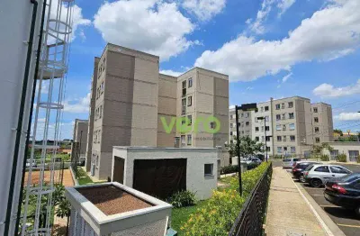 Apartamento com 2 dormitórios à venda, 49 m² por r$ 179.000,00 - planalto do sol ii - santa bárbara d'oeste/sp