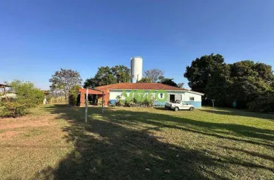 Chácara com 3 dormitórios à venda, 2100 m² por r$ 550.000,00 - recanto las palmas - nova odessa/sp