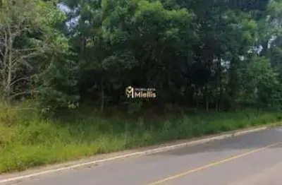 Terreno à venda na Avenida João Carlos Viale Dias, próximo 9, Tarumã, Viamão