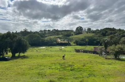 Chácara / sítio com 3 quartos à venda no Branquinha, Viamão 