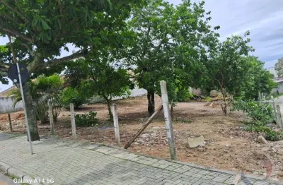 Terreno à venda na Rua João de Barro, 5, Serraria, São José