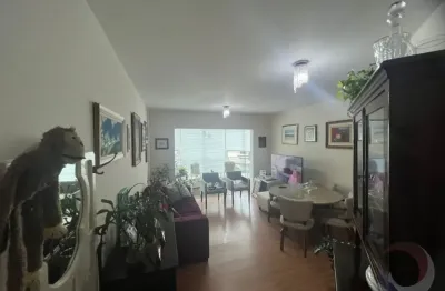 Ótimo apartamento de 3 dormitórios no saco dos limões