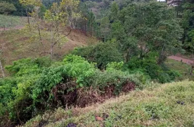 Terreno à venda no Centro, Benedito Novo 