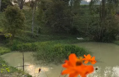 Chácara / sítio com 3 quartos à venda na Rua Celso Ramos, Barra São João, Benedito Novo