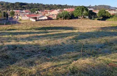 Loteamento de terrenos em araucaria bairro costeira proximo rotatoria maranhão