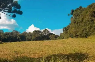 Chacara...um pedacinho de tranquilidade para chamar de seu