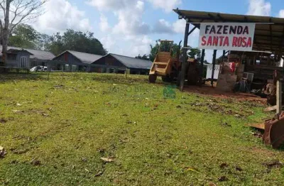 Fazenda à venda de cacau e gado em ilhéus, 30 minutos do centro