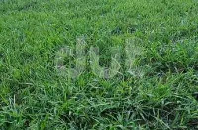 Terreno em condomínio fechado à venda na rodovia romildo prado, km 10, condomínio villagio paradiso, itatiba por r$ 477.000