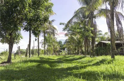 Chácara / sítio com 3 quartos à venda no Chácaras Califórnia, Araçatuba 